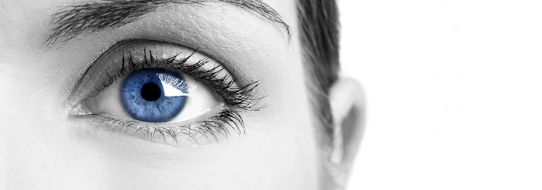 puntos de vigilancia