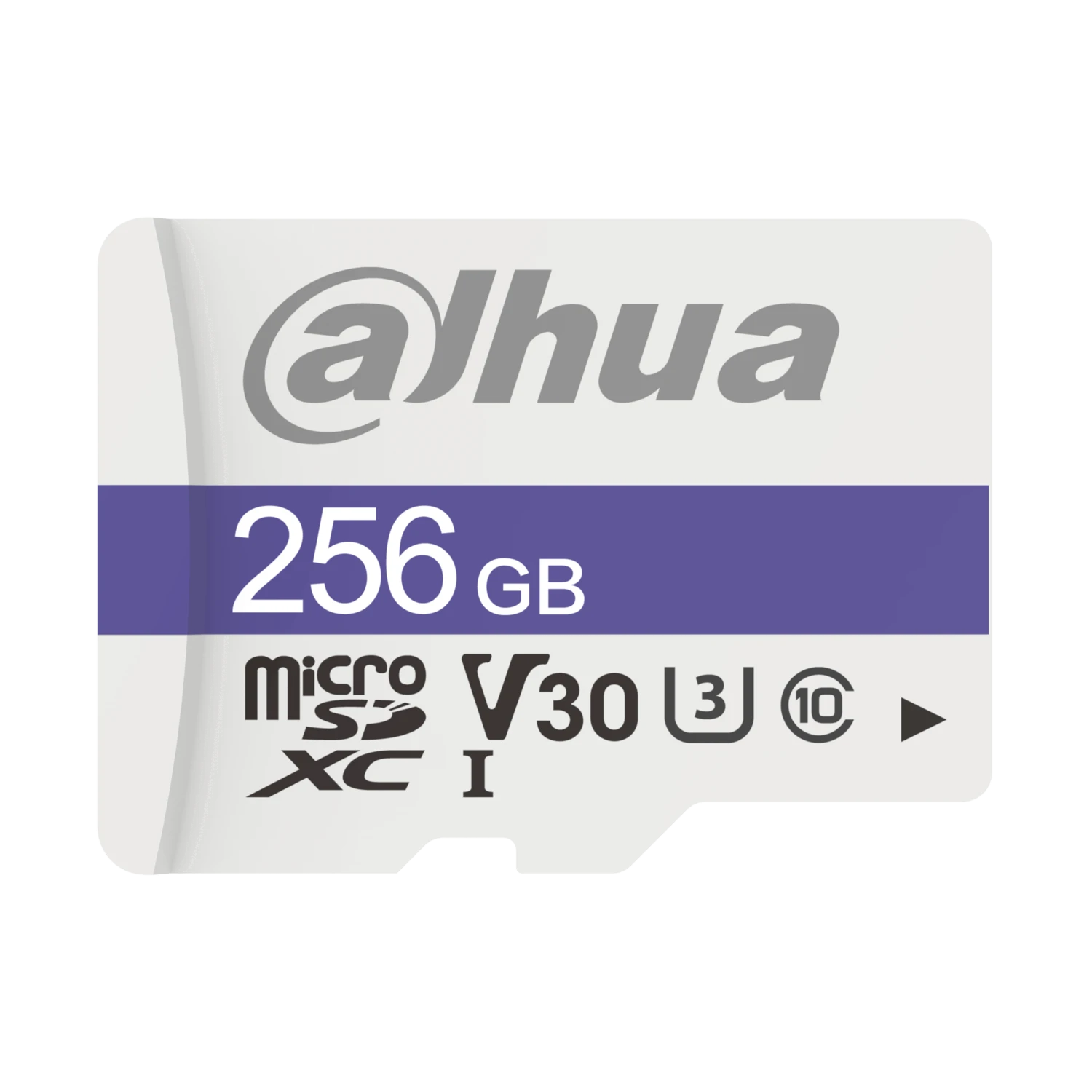 Memoria Micro SD Dahua para Cámaras seguridad SSTT - TF-C100-256GB